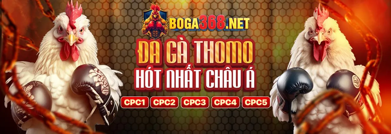 Đá Gà Trực Tuyến 345bet Nhà Cái
